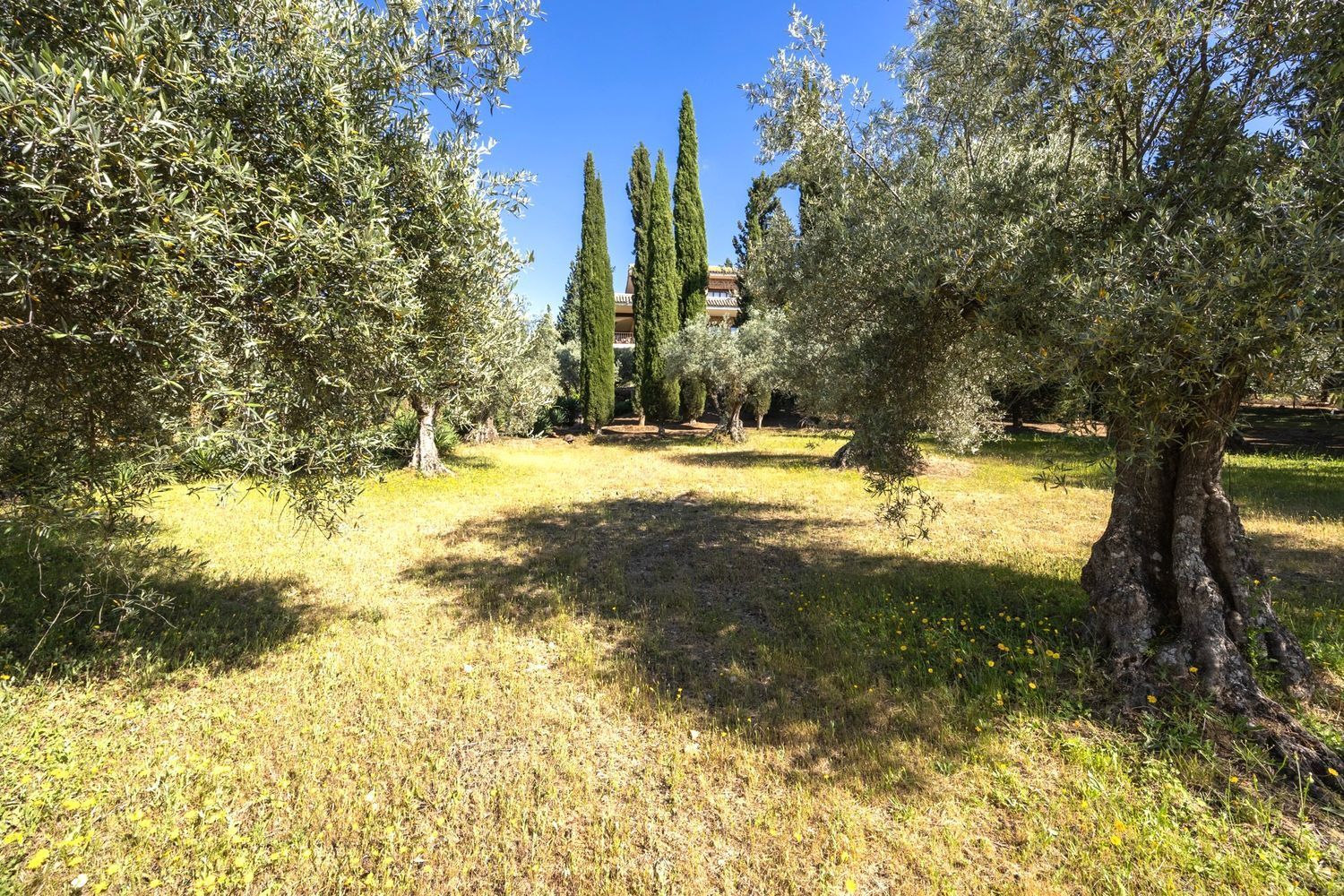 Casas o chalets-Venta-Toledo-1744111-Foto-59