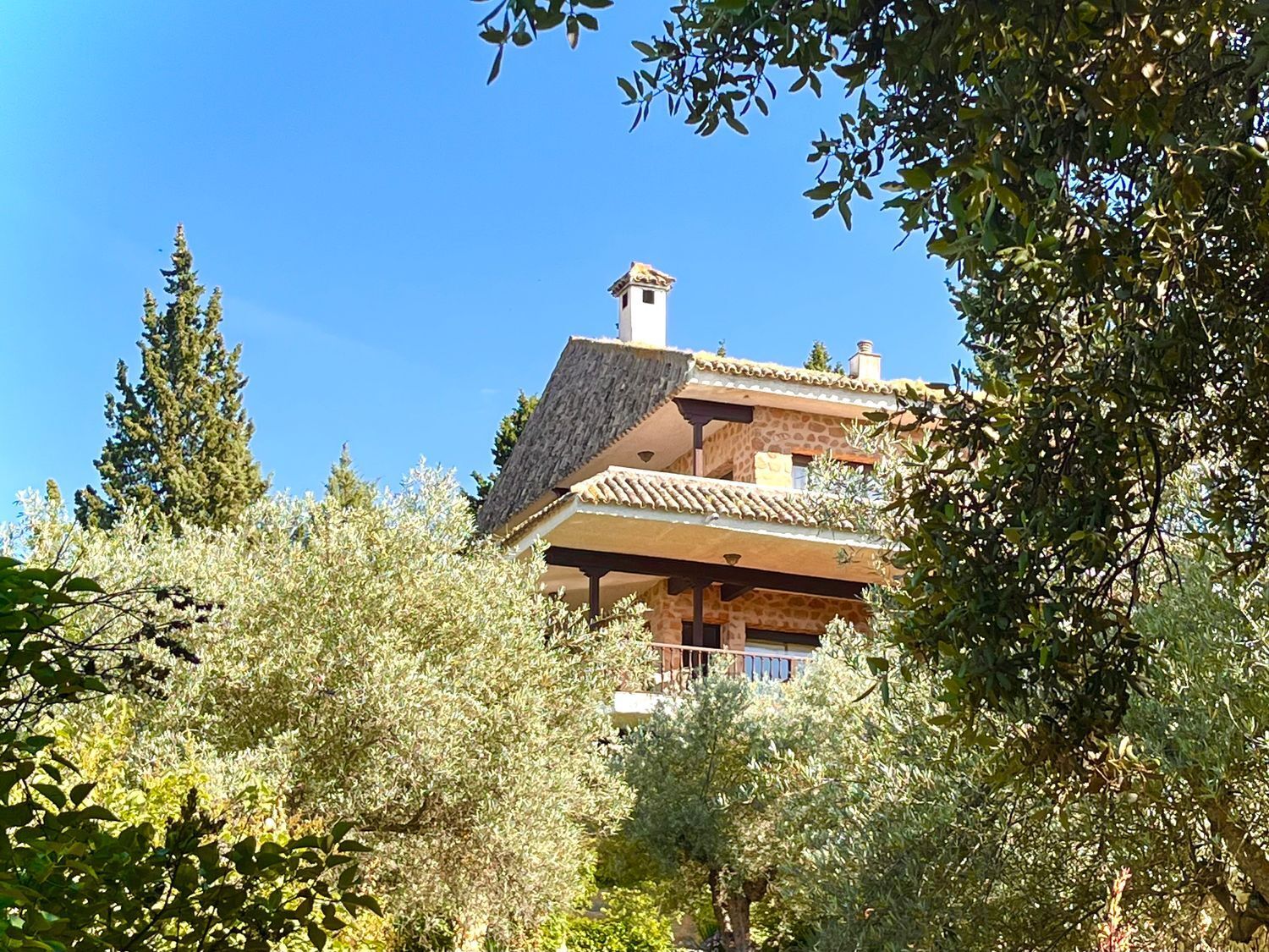 Casas o chalets-Venta-Toledo-1744111-Foto-69