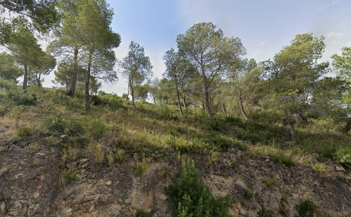 Suelo en venta, La Bisbal del PenedÃ¨s, Tarragona, Tarragona