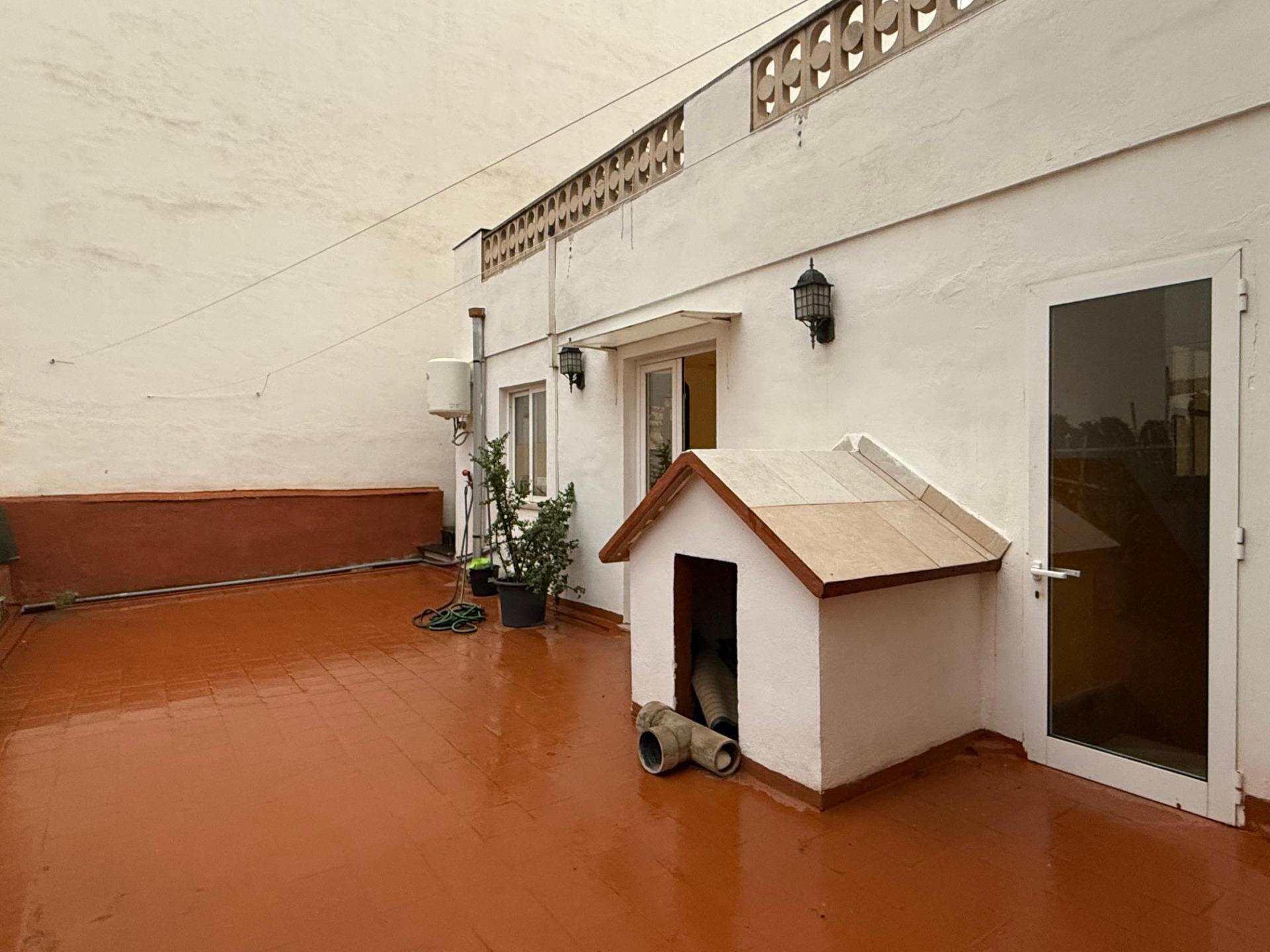 Casas o chalets-Venta-Palma de Mallorca-2045422-Foto-9