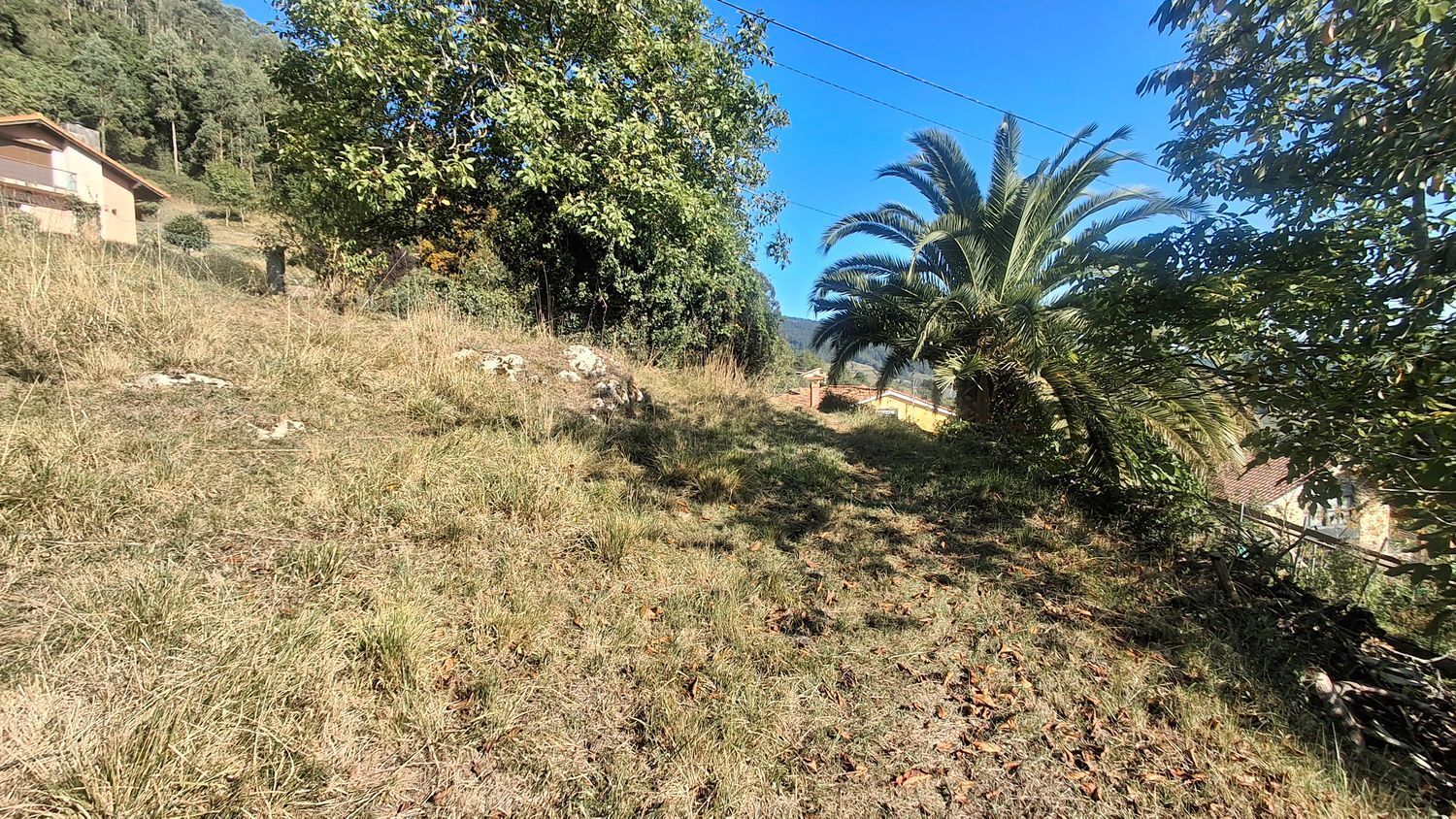 Fincas y solares-Venta-Villaviciosa-1969765-Foto-5