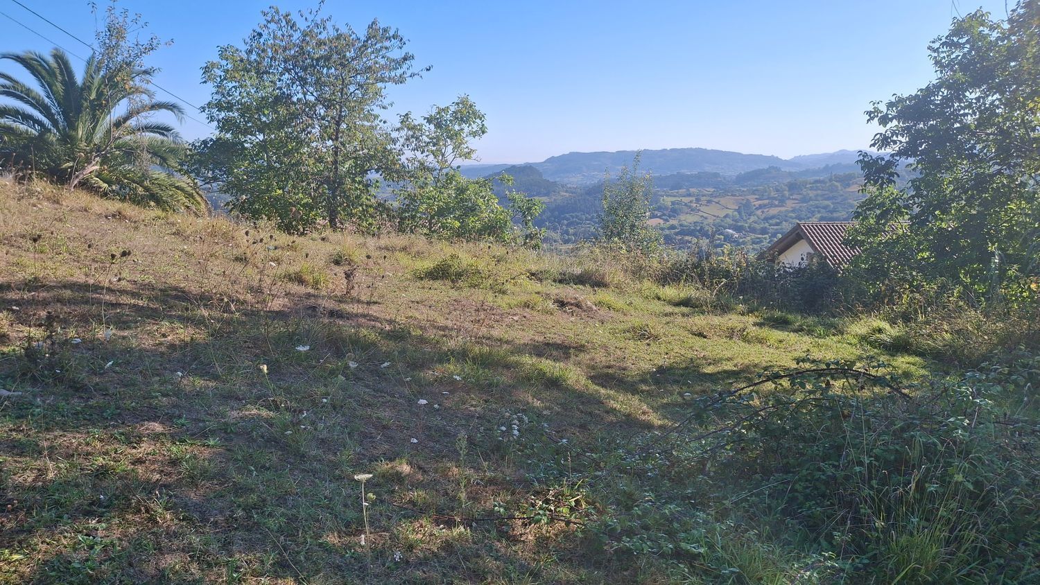 Fincas y solares-Venta-Villaviciosa-1969765-Foto-8