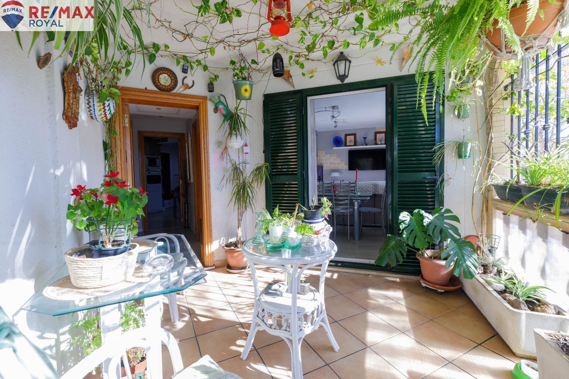 Casas o chalets-Venta-Palma de Mallorca-1052105-Foto-4