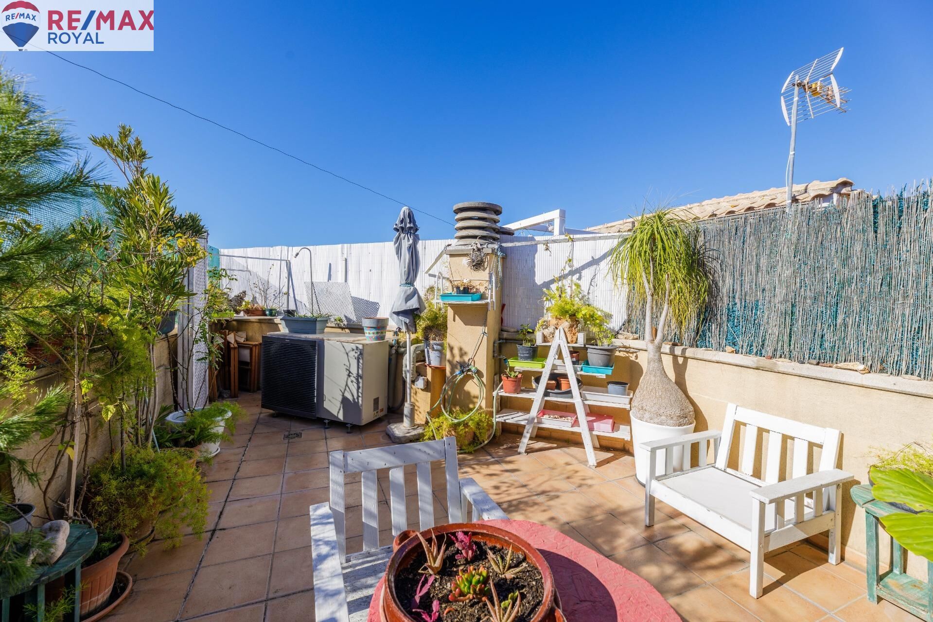 Casas o chalets-Venta-Palma de Mallorca-1052105-Foto-5