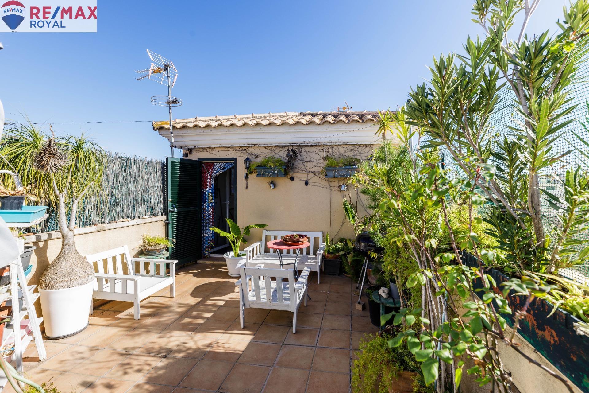 Casas o chalets-Venta-Palma de Mallorca-1052105-Foto-6