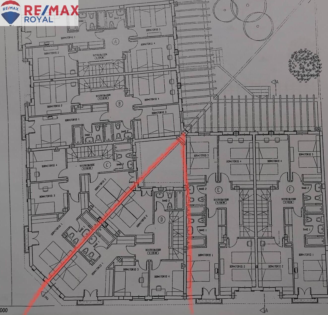 Casas o chalets-Venta-Palma de Mallorca-1052105-Foto-34