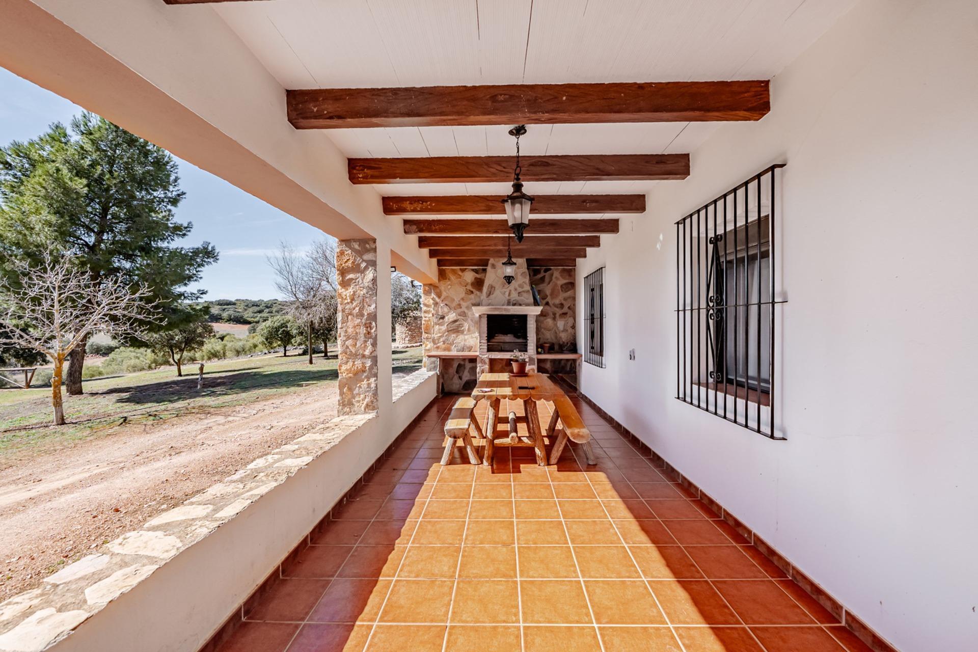 Pisos-Venta-Argamasilla de Alba-2241749-Foto-2