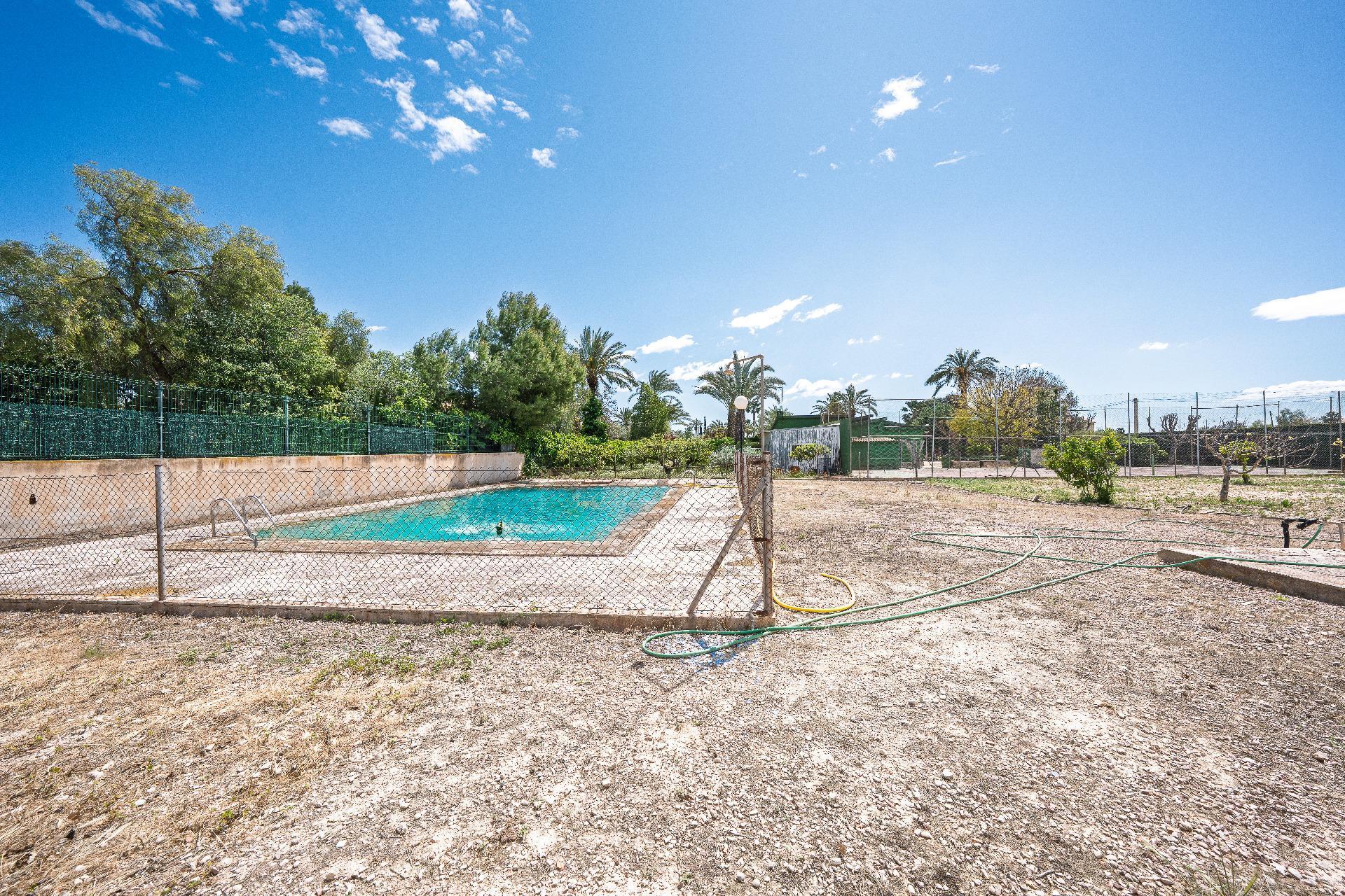 Casas o chalets-Venta-Elche-2248070-Foto-19