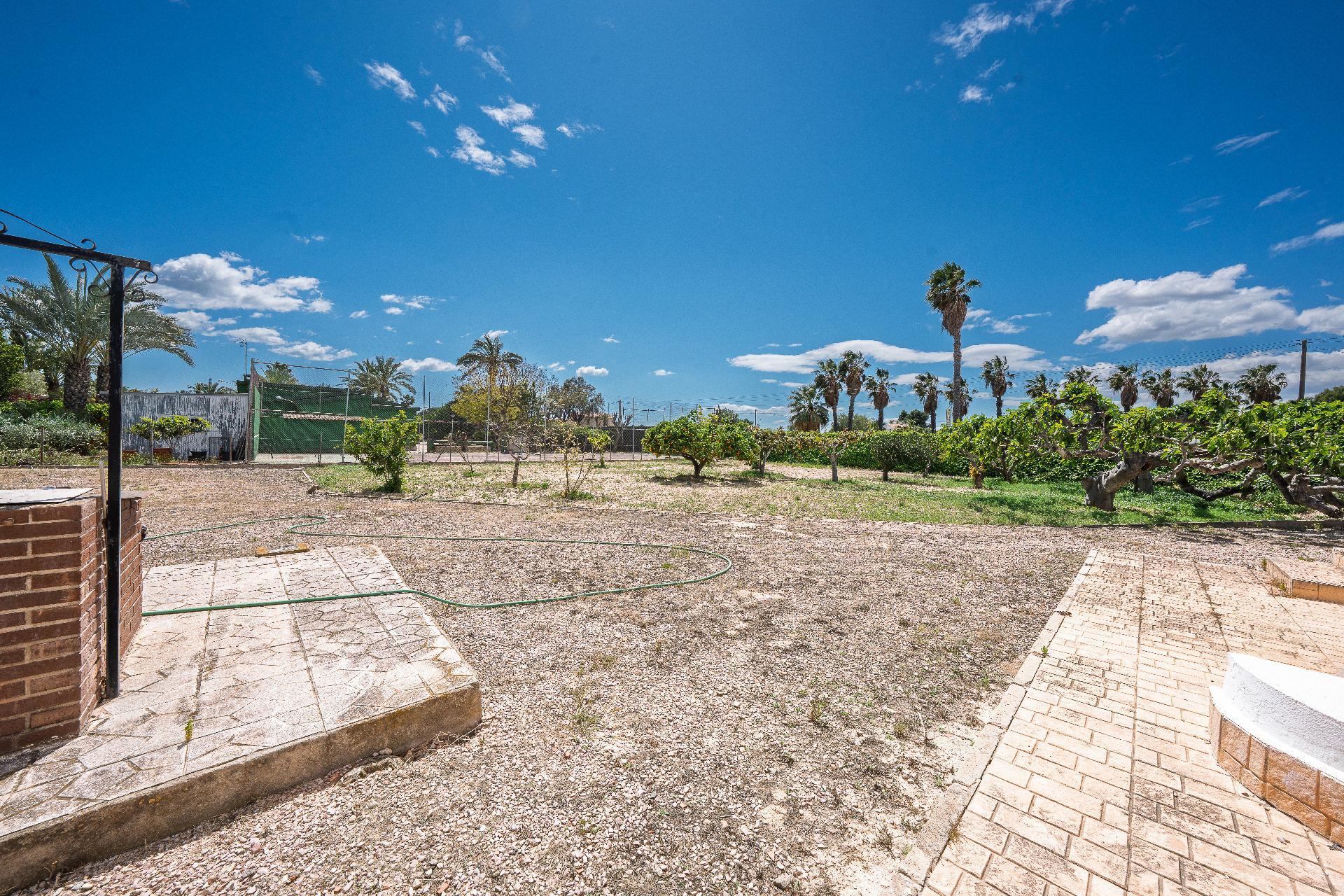 Casas o chalets-Venta-Elche-2248070-Foto-20