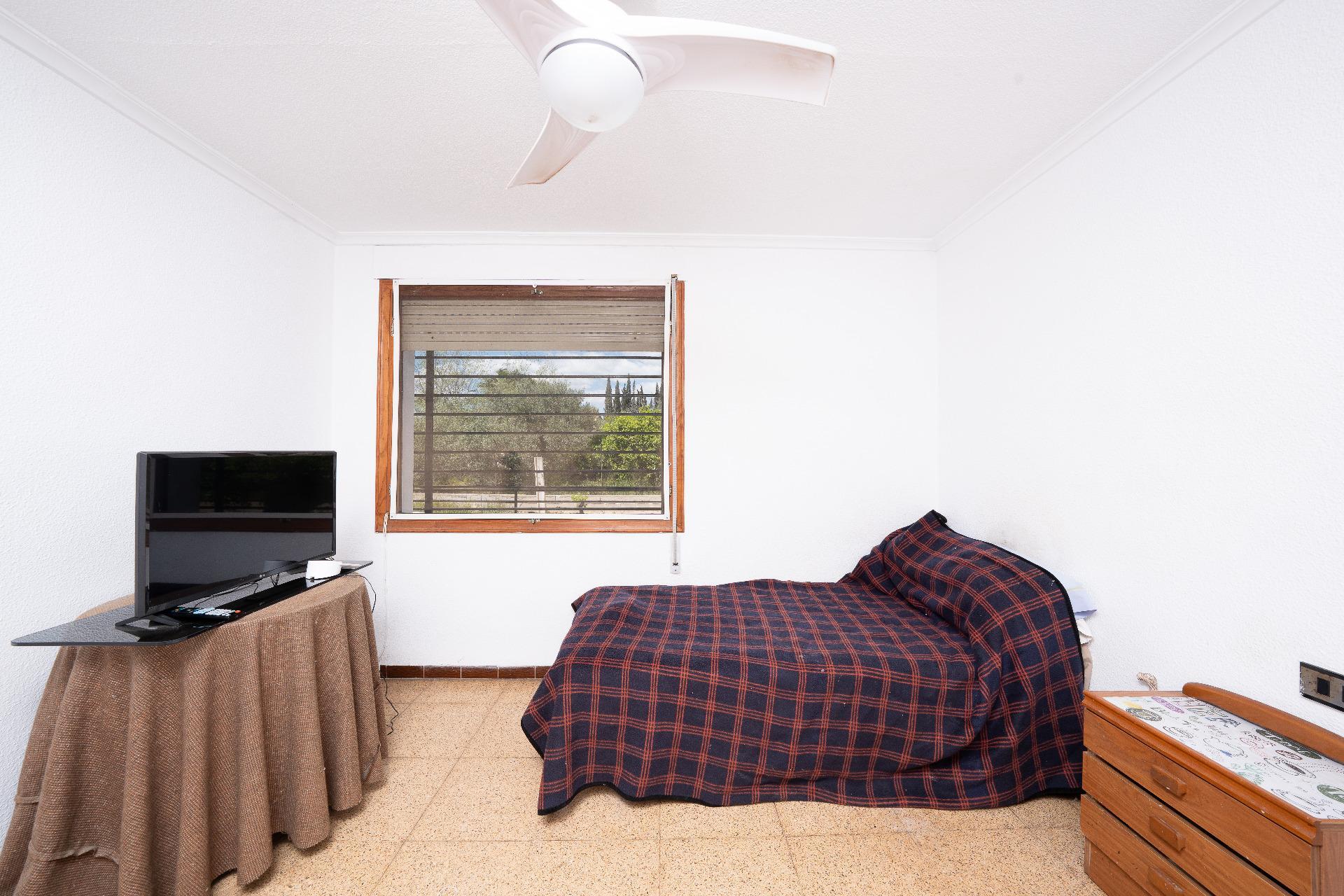Casas o chalets-Venta-Elche-2248070-Foto-22
