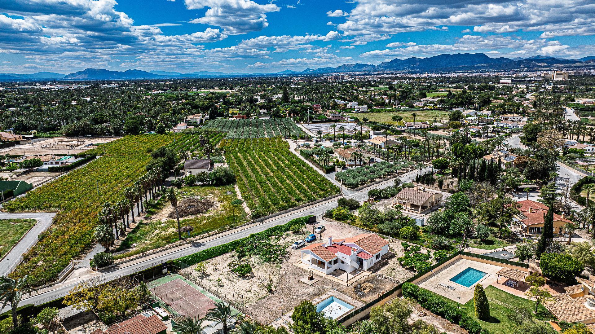 Casas o chalets-Venta-Elche-2248070-Foto-40