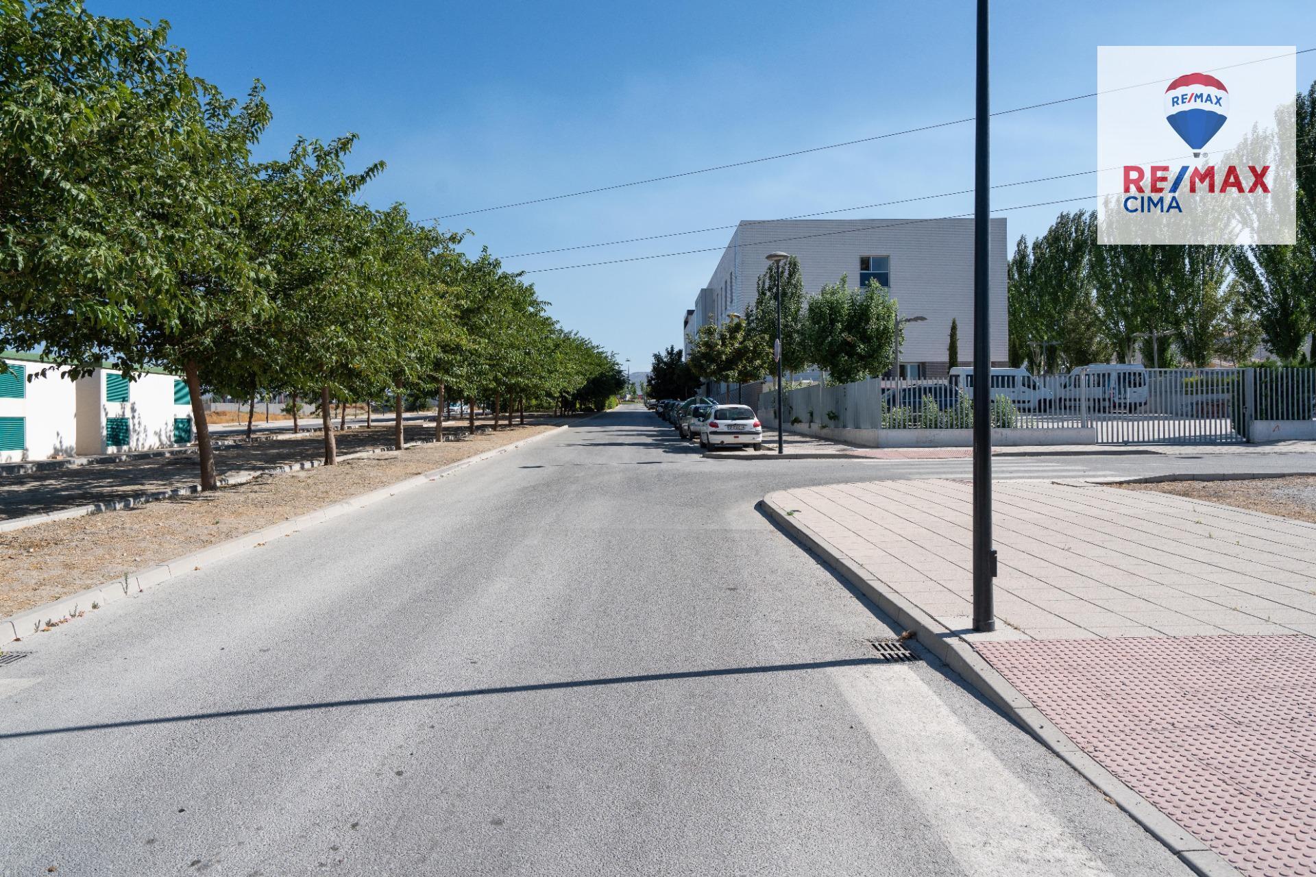 Fincas y solares-Venta-Baza-1395085-Foto-4