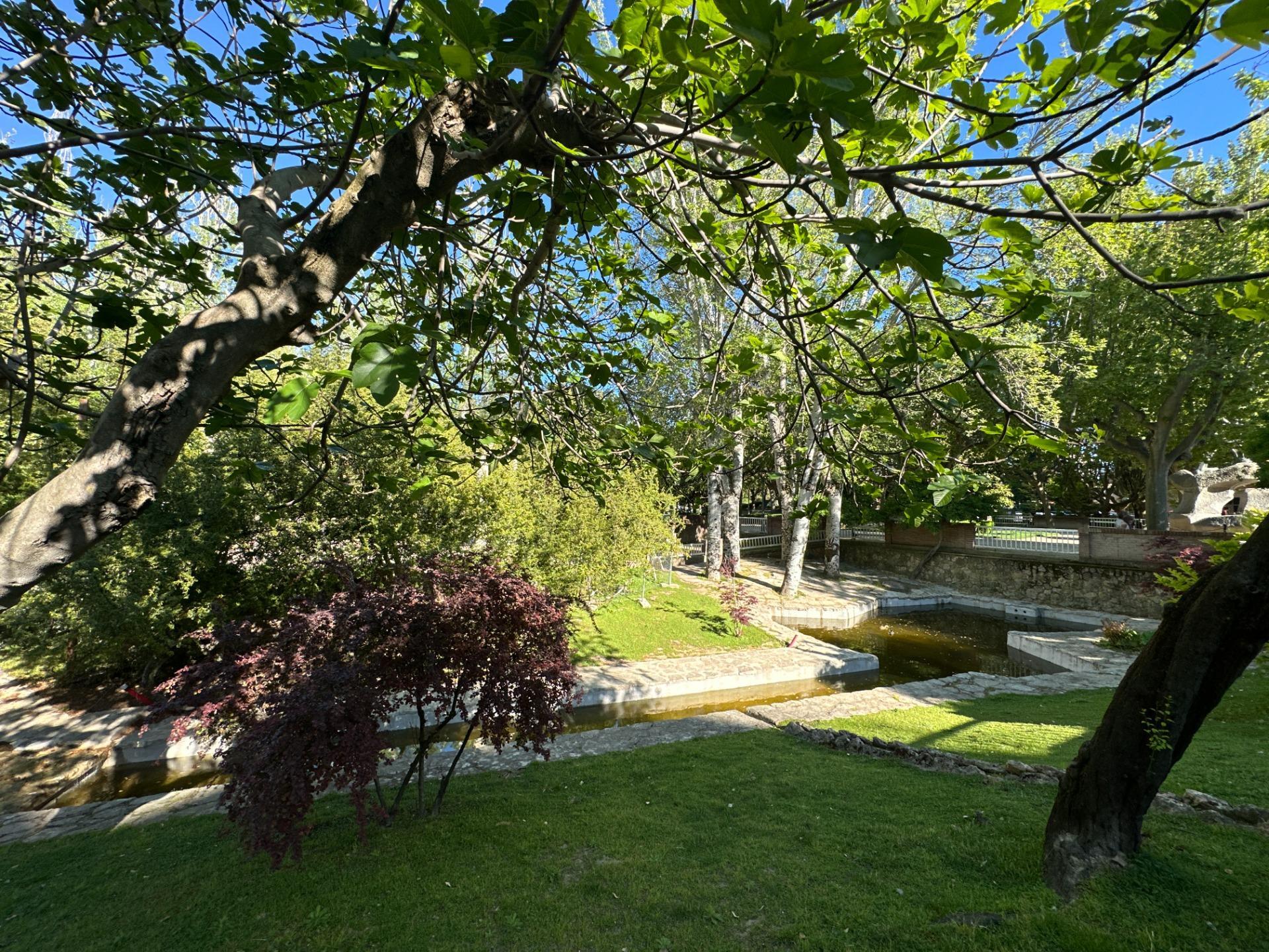 Pisos-Venta-Huesca-2415941-Foto-58