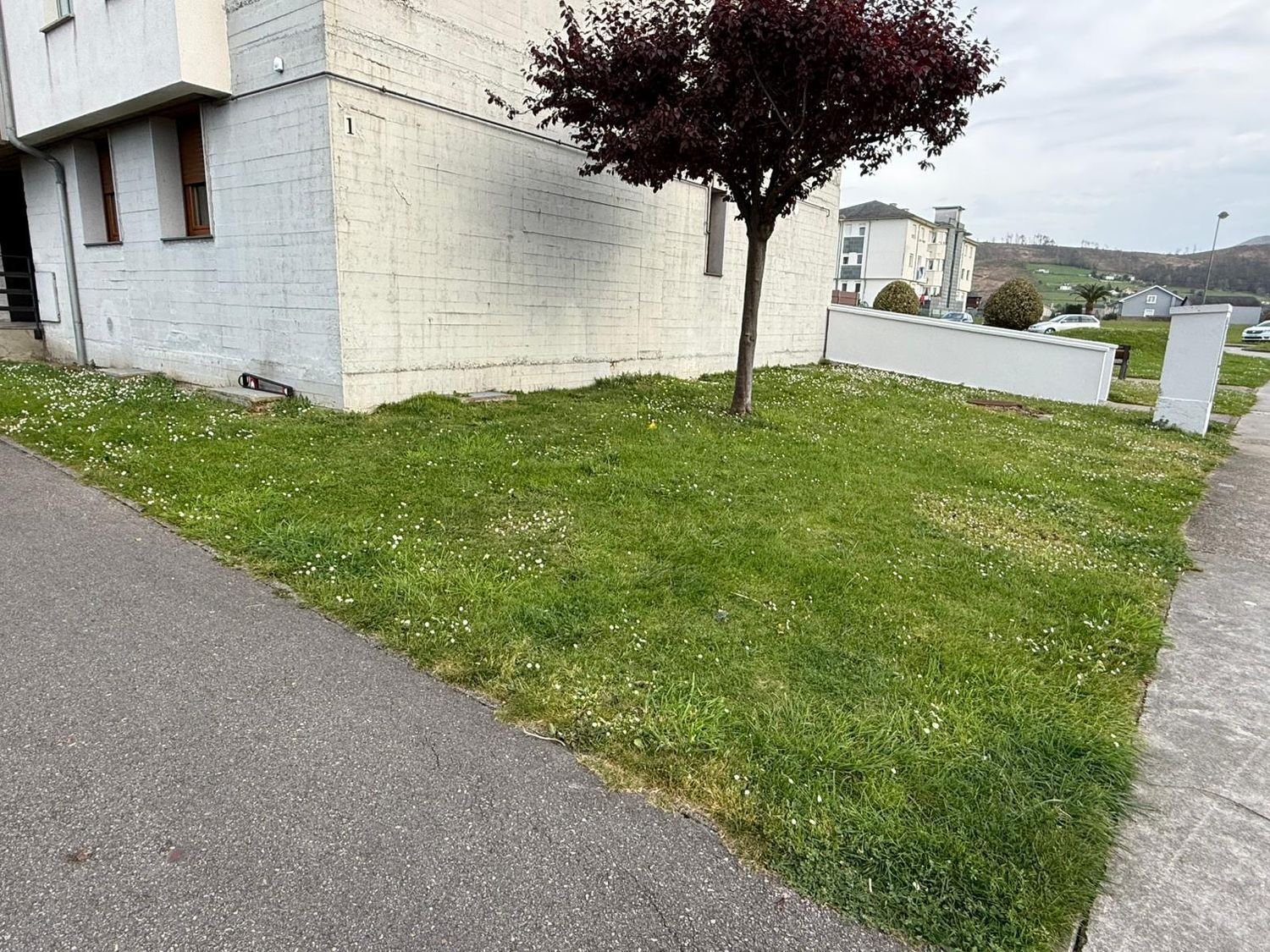 Pisos-Venta-ValdÃ©s-2242208-Foto-8