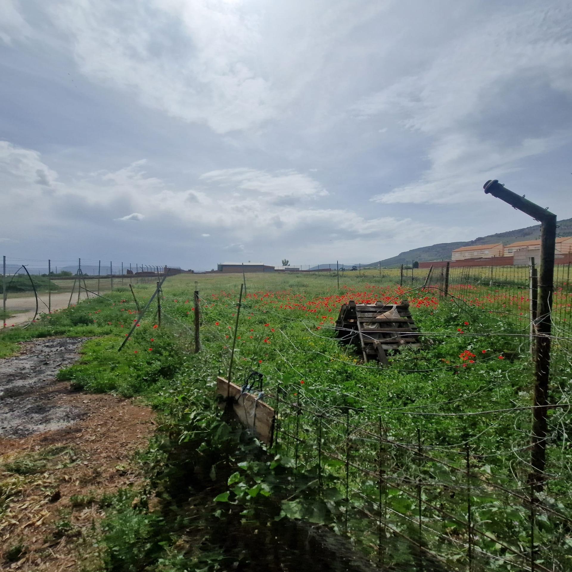 Suelo en venta, Los YÃ©benes, Toledo, Toledo