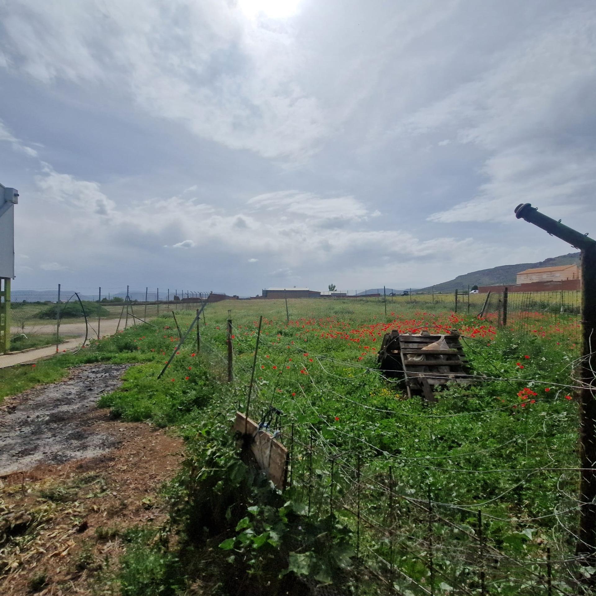 Suelo en venta, Los YÃ©benes, Toledo, Toledo