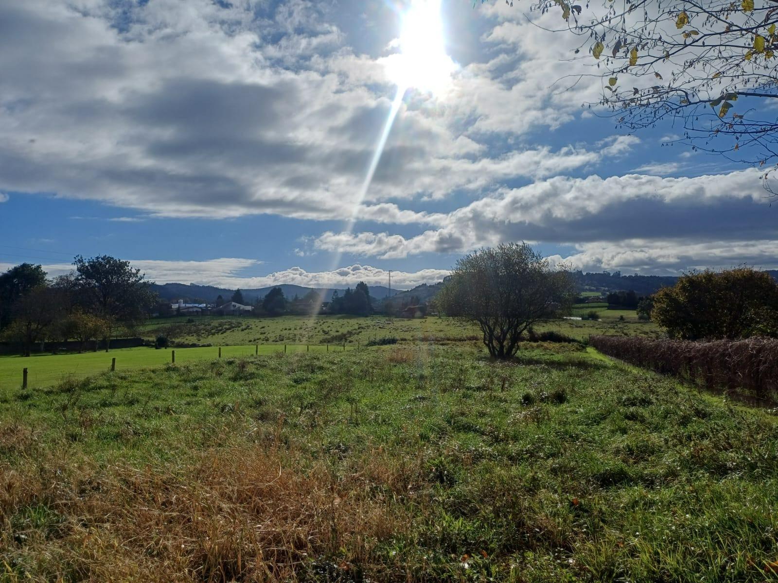 Fincas y solares-Venta-2019521