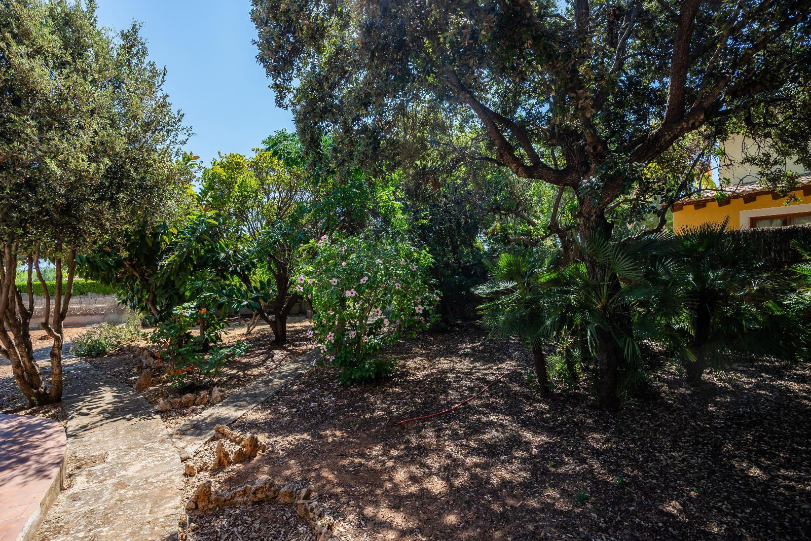 Casas o chalets-Venta-Capdepera-2249254-Foto-15