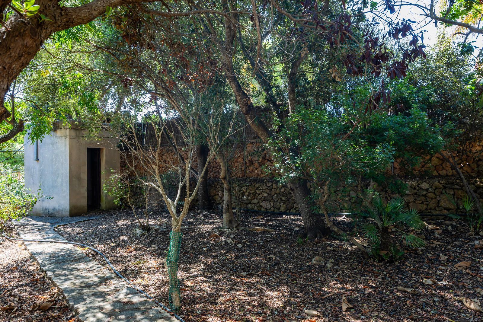 Casas o chalets-Venta-Capdepera-2249254-Foto-25