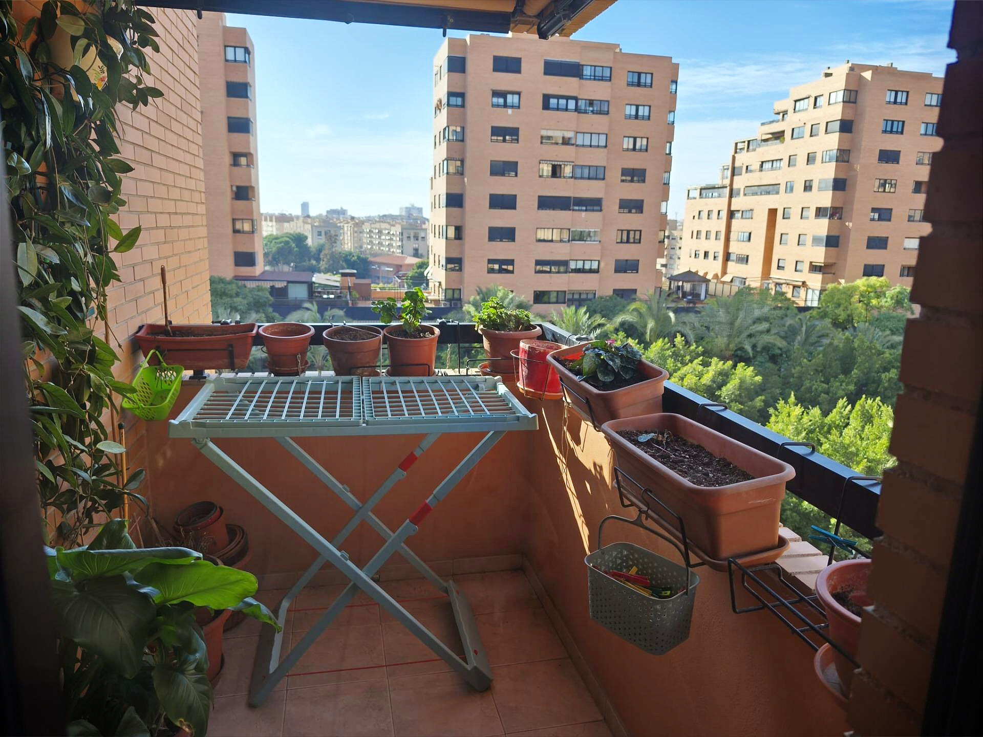 Pisos-Venta-Alicante-2249275-Foto-3