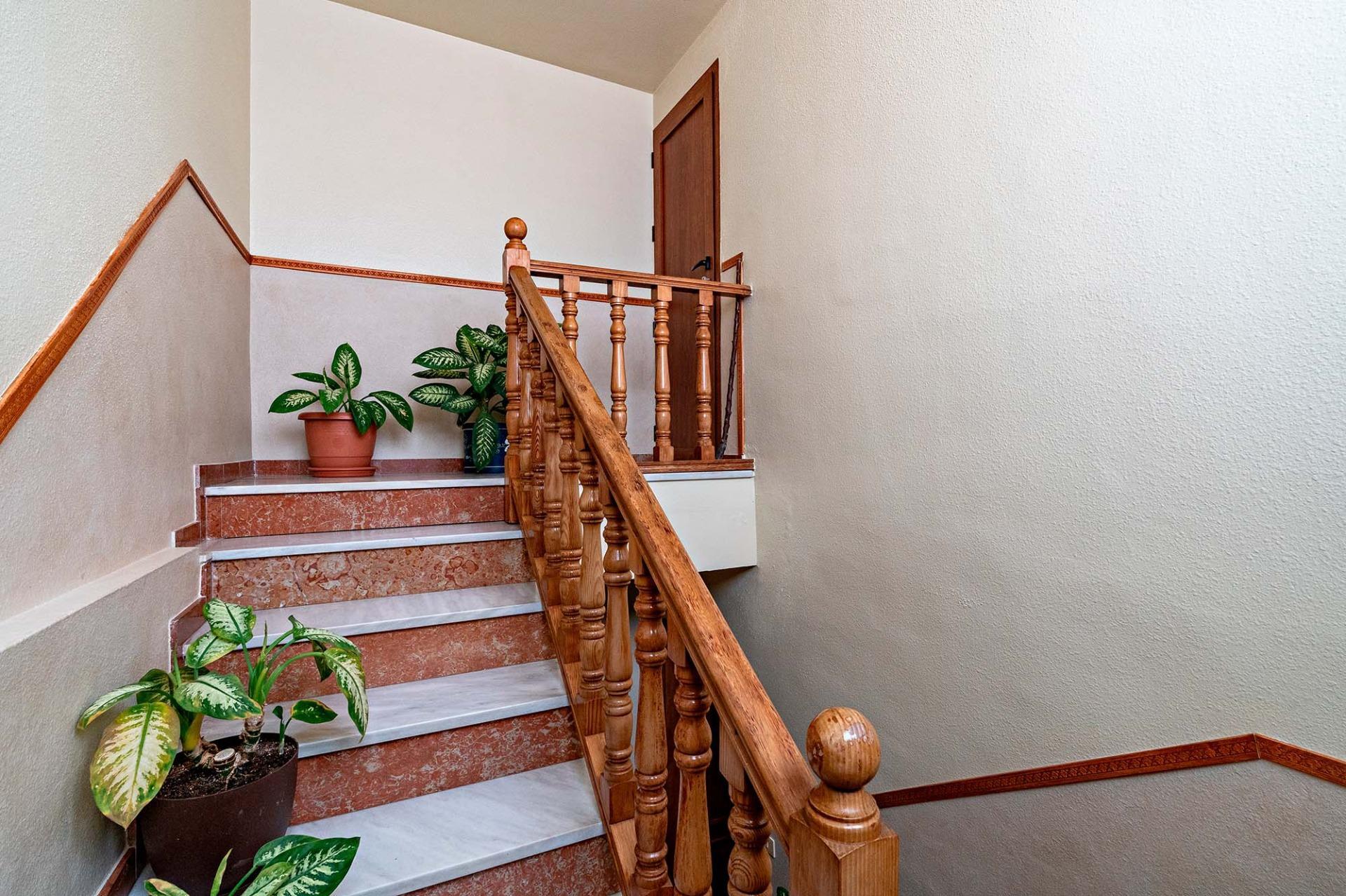 Casas o chalets-Venta-Balanegra-2249611-Foto-11