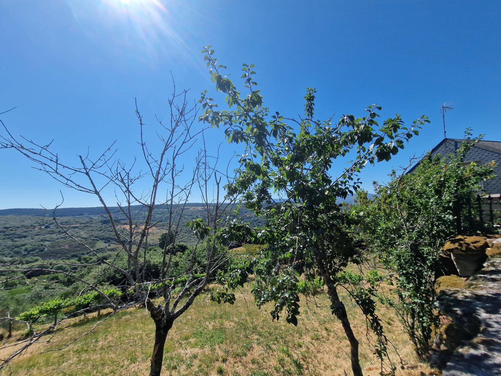 Casas o chalets-Venta-Lobeira-1765227-Foto-26