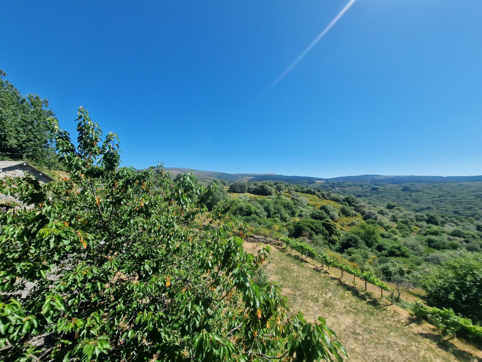 Casas o chalets-Venta-Lobeira-1765227-Foto-39