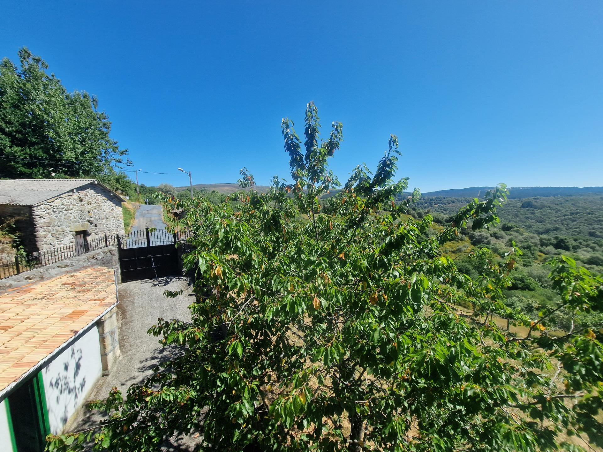 Casas o chalets-Venta-Lobeira-1765227-Foto-41