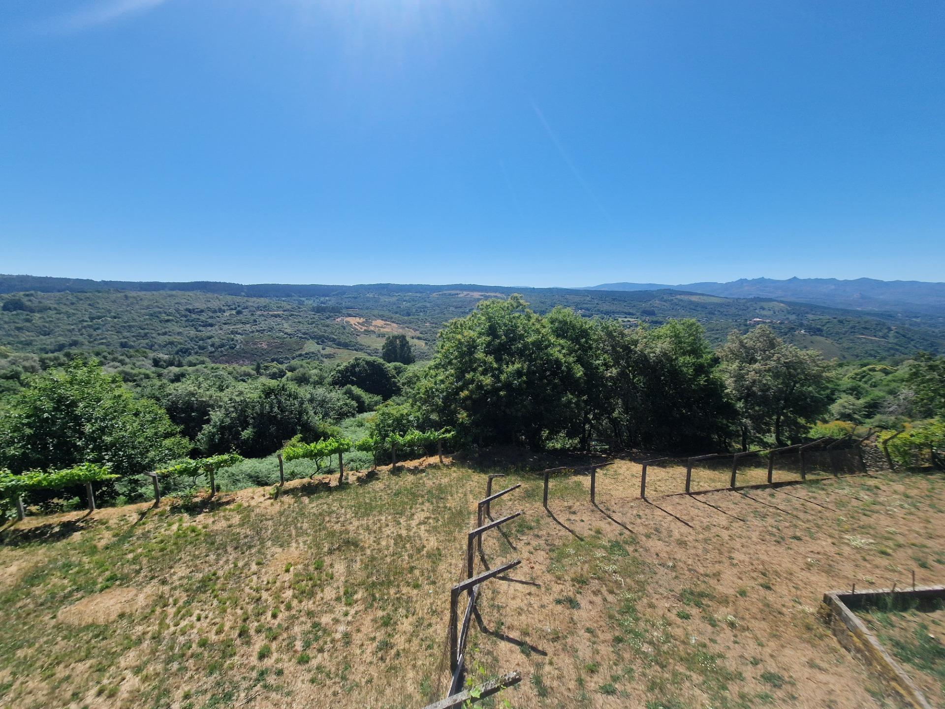 Casas o chalets-Venta-Lobeira-1765227-Foto-47