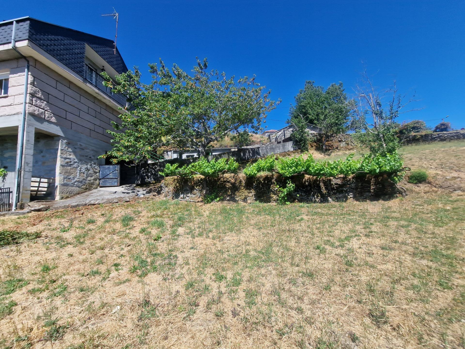 Casas o chalets-Venta-Lobeira-1765227-Foto-64