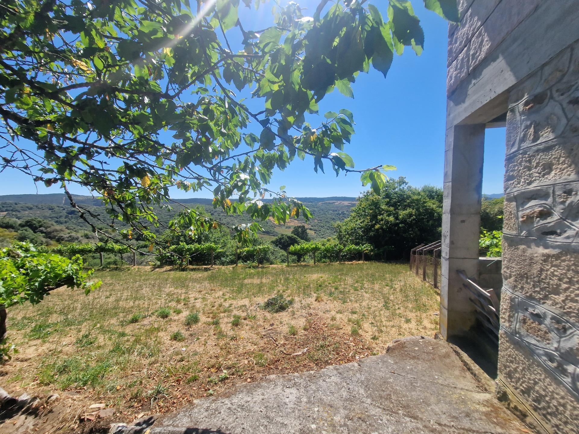 Casas o chalets-Venta-Lobeira-1765227-Foto-73