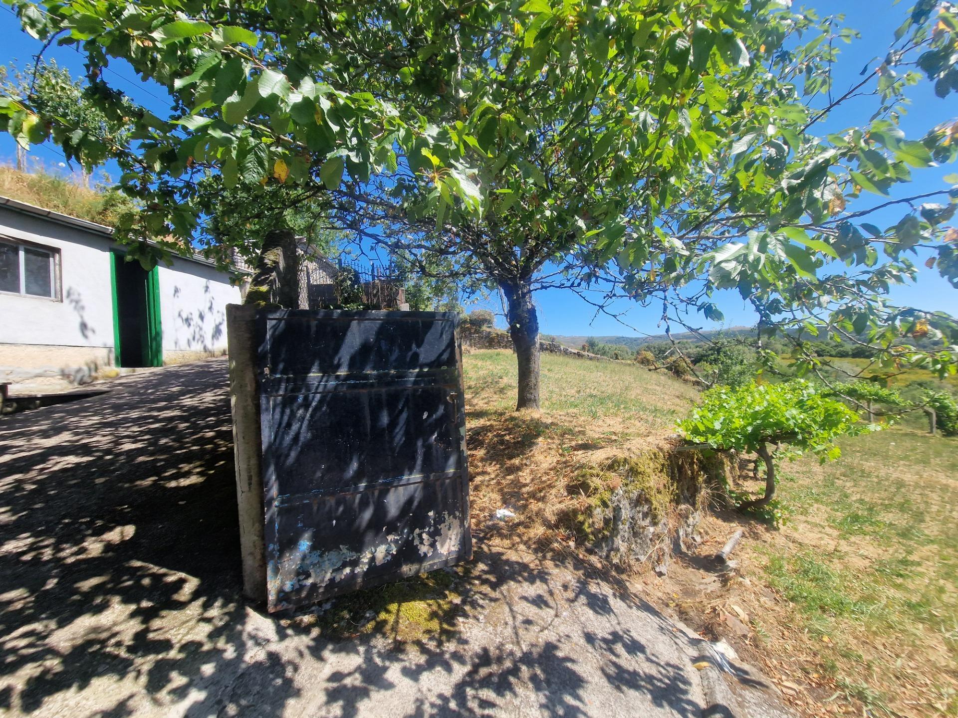 Casas o chalets-Venta-Lobeira-1765227-Foto-68