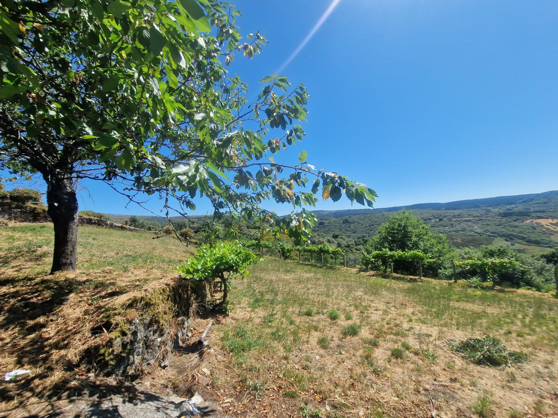Casas o chalets-Venta-Lobeira-1765227-Foto-69