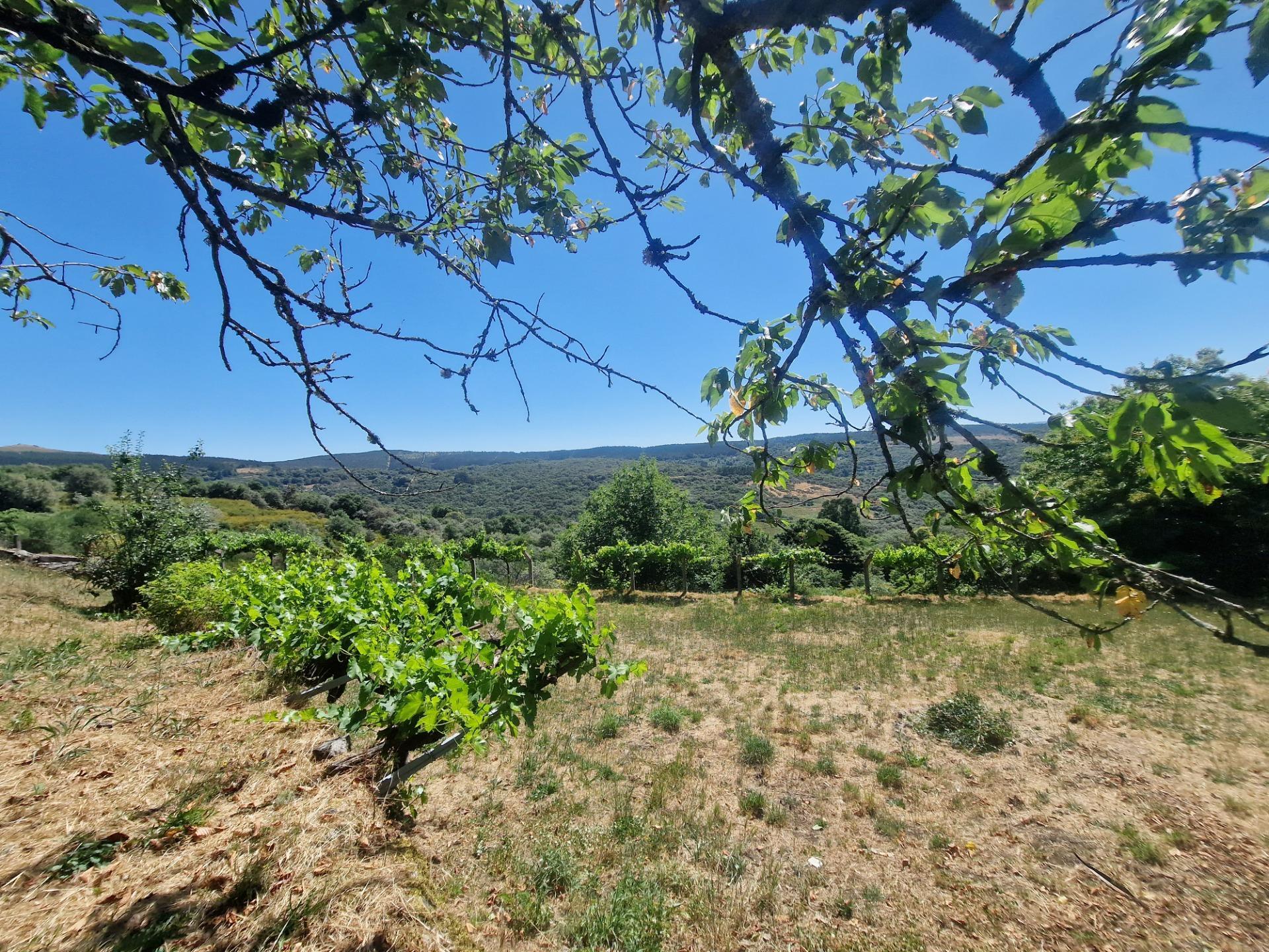 Casas o chalets-Venta-Lobeira-1765227-Foto-71