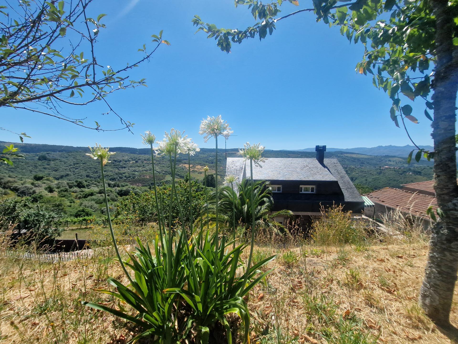 Casas o chalets-Venta-Lobeira-1765227-Foto-96