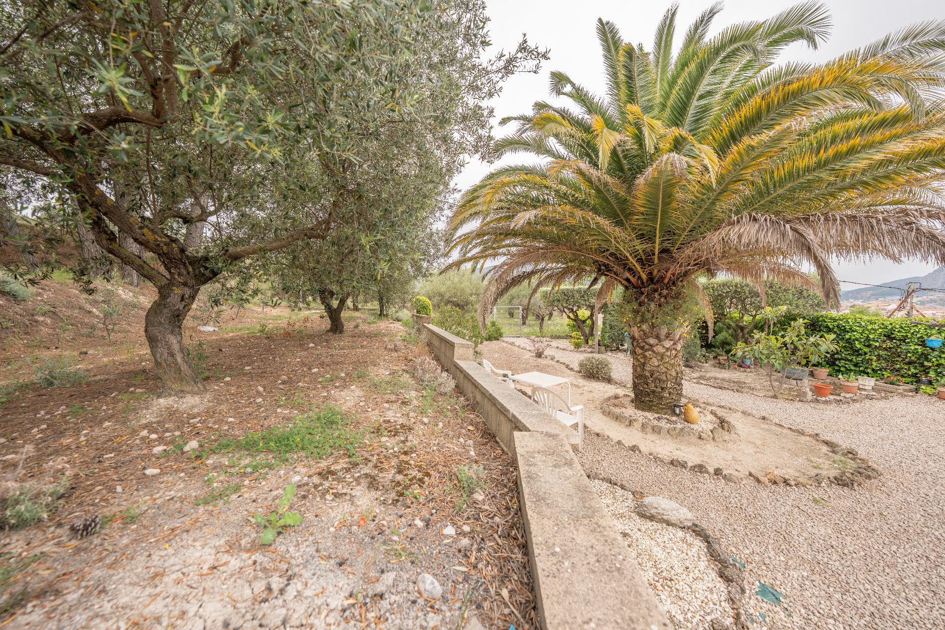 Casas o chalets-Venta-Alcoy-Alcoi-2411504-Foto-35