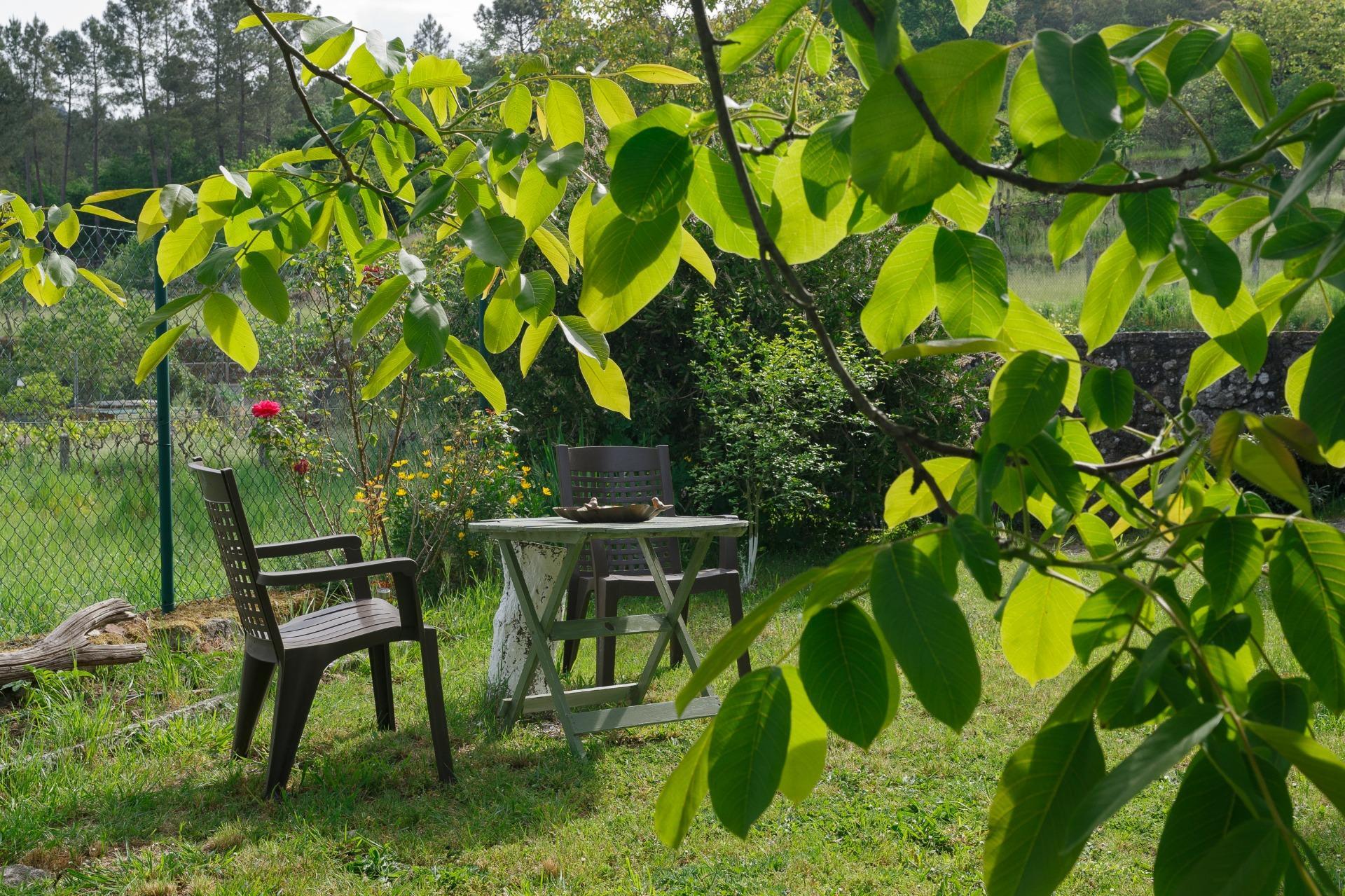 Casas o chalets-Venta-Lobios-2256077-Foto-18