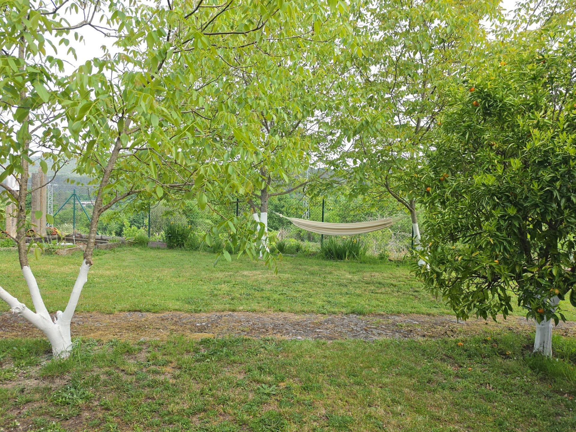Casas o chalets-Venta-Lobios-2256077-Foto-47
