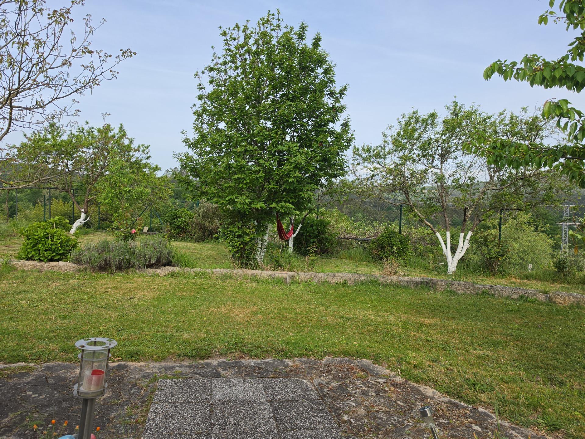 Casas o chalets-Venta-Lobios-2256077-Foto-48