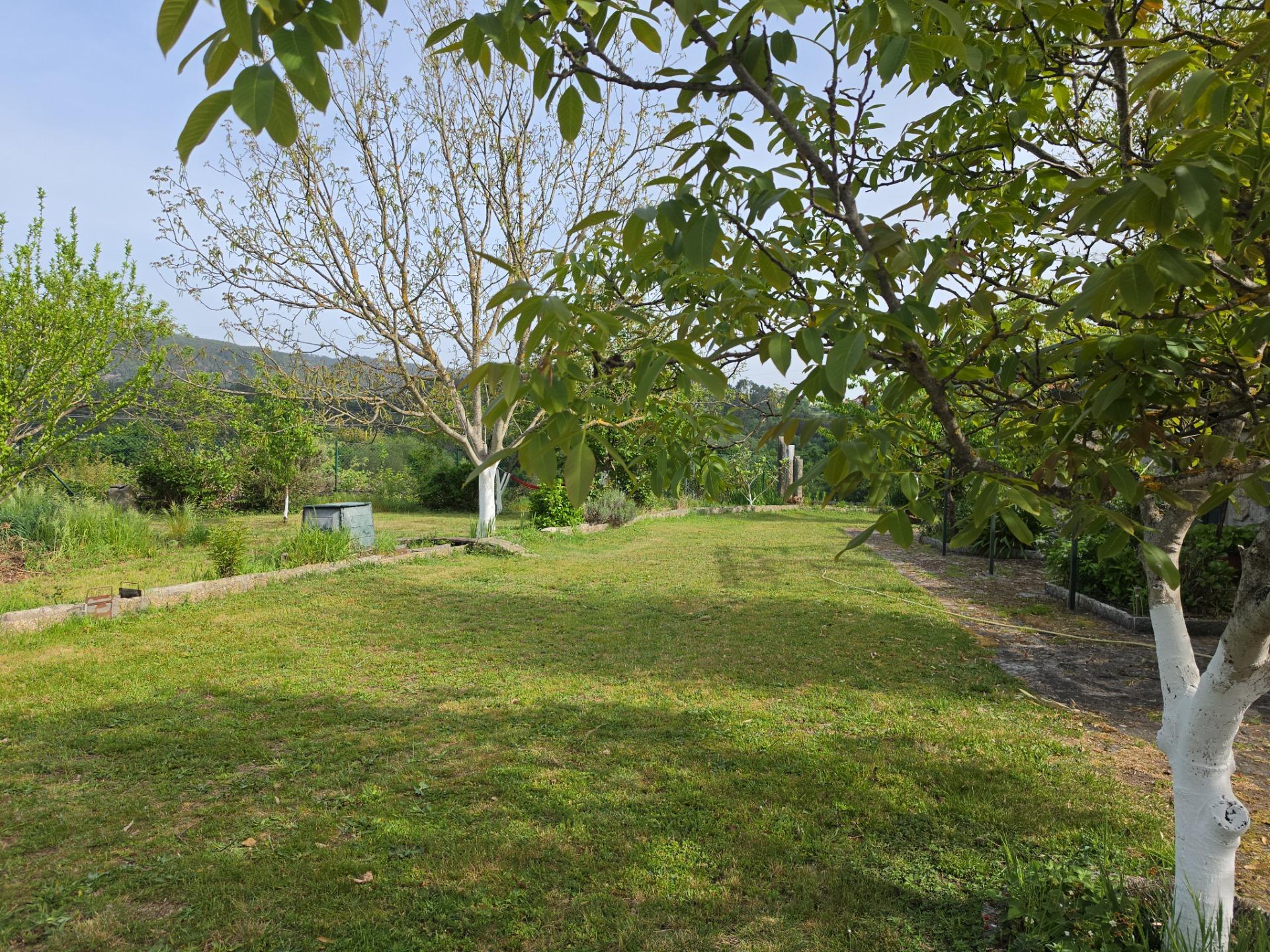 Casas o chalets-Venta-Lobios-2256077-Foto-49