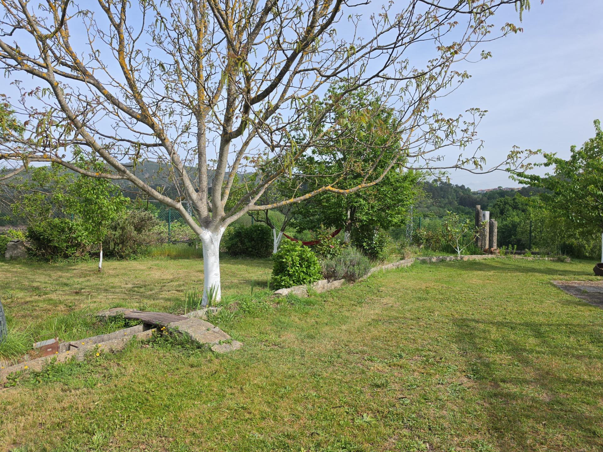 Casas o chalets-Venta-Lobios-2256077-Foto-52