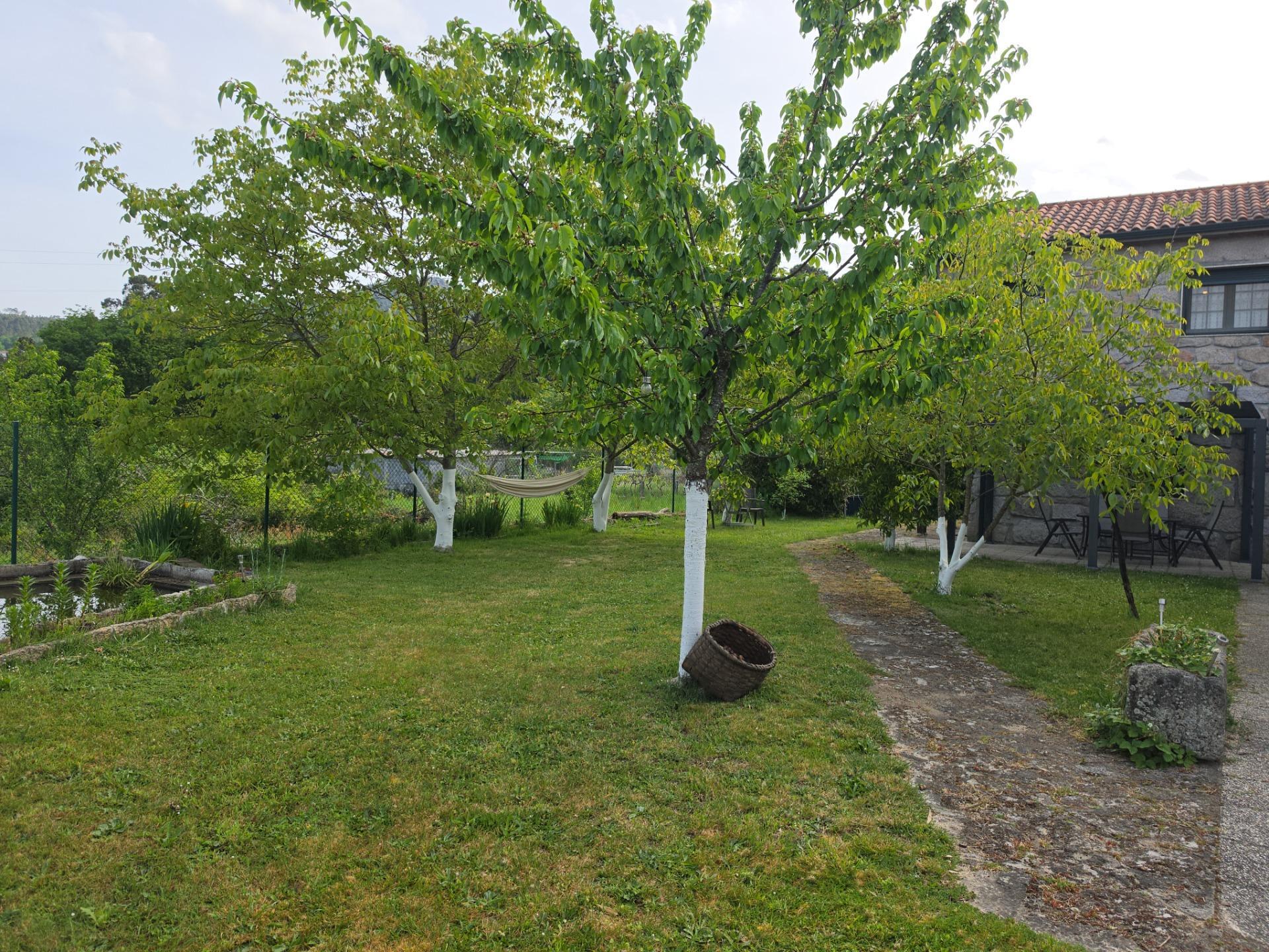 Casas o chalets-Venta-Lobios-2256077-Foto-57