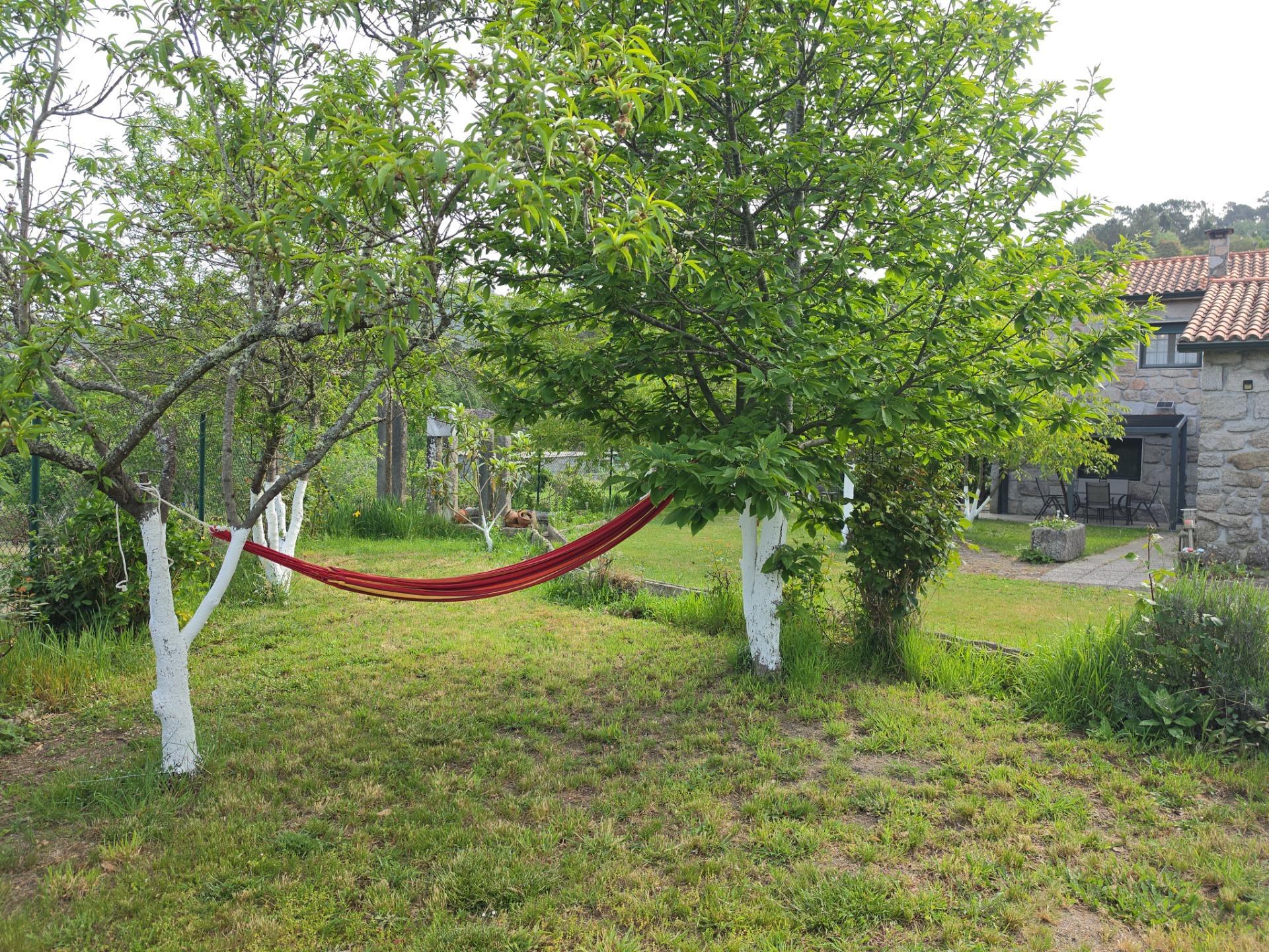 Casas o chalets-Venta-Lobios-2256077-Foto-54
