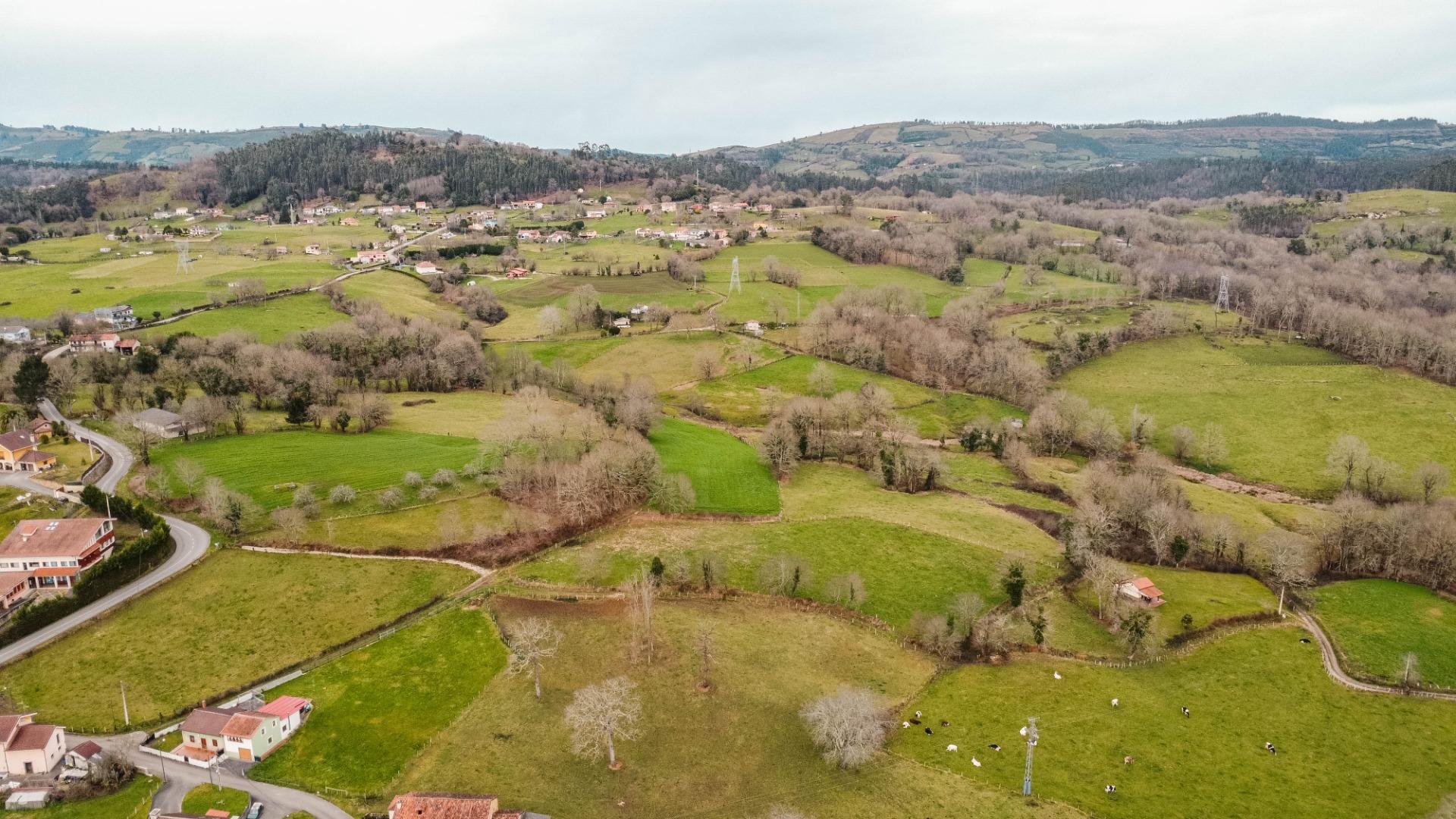 Pisos-Venta-Las Navas del MarquÃ©s-2110039-Foto-15