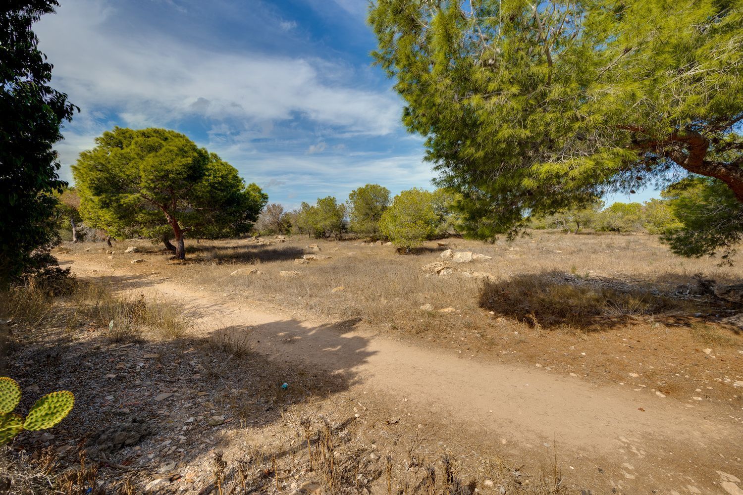 Casas o chalets-Venta-Torrevieja-2413676-Foto-52