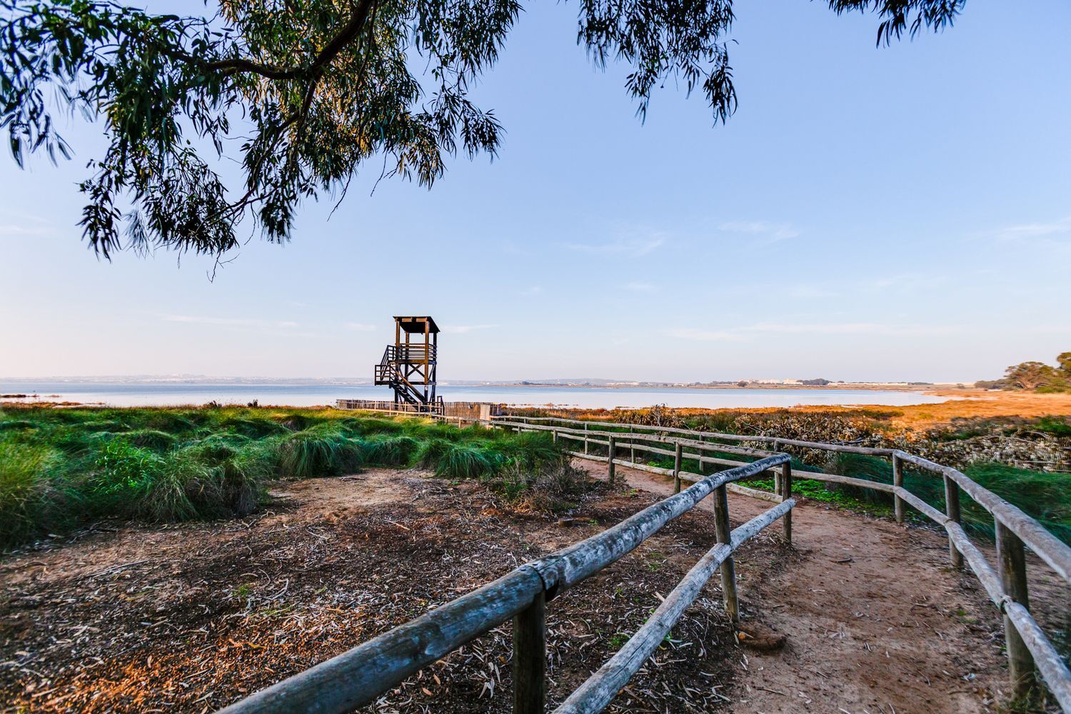 Casas o chalets-Venta-Torrevieja-2413676-Foto-61