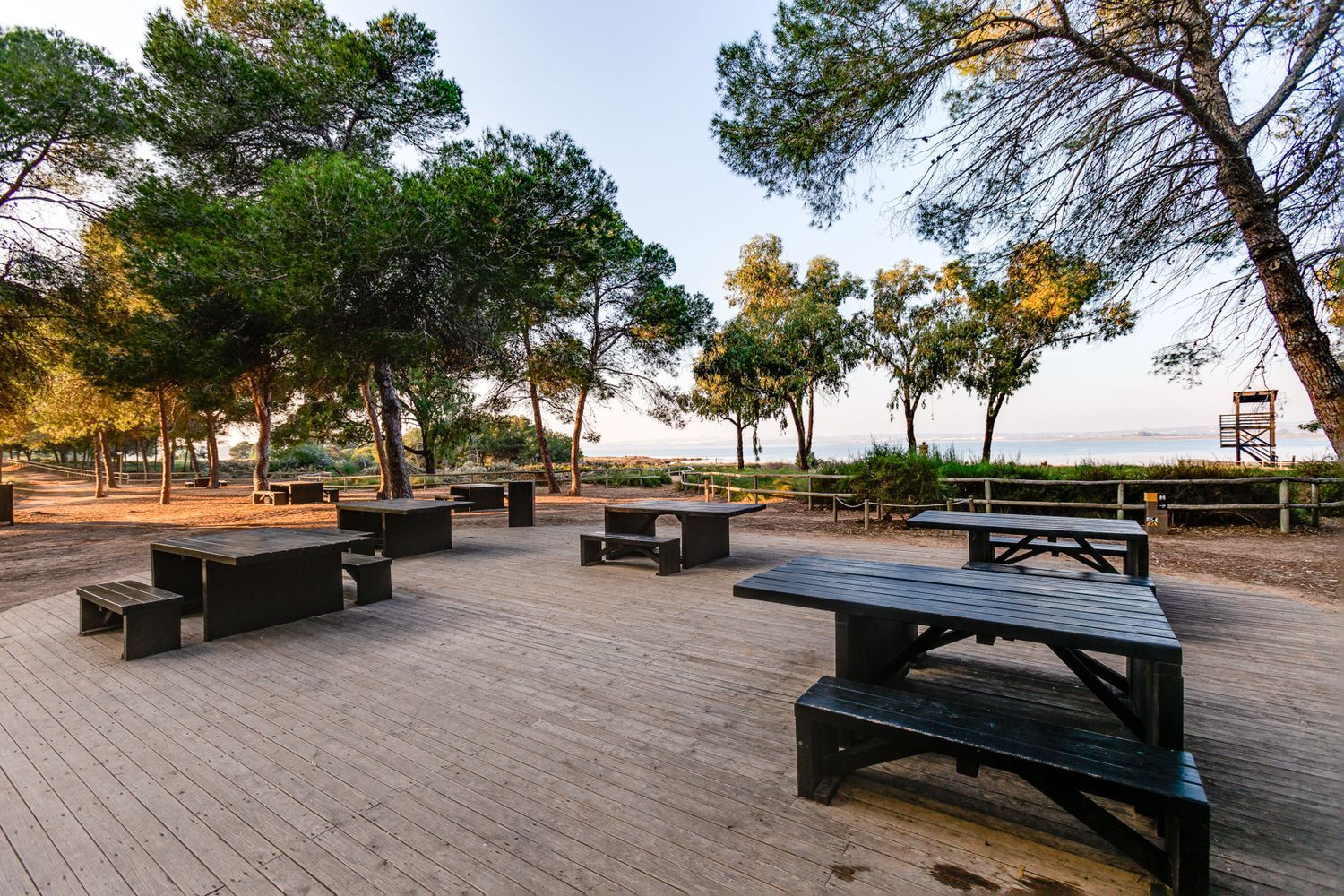 Casas o chalets-Venta-Torrevieja-2413676-Foto-60