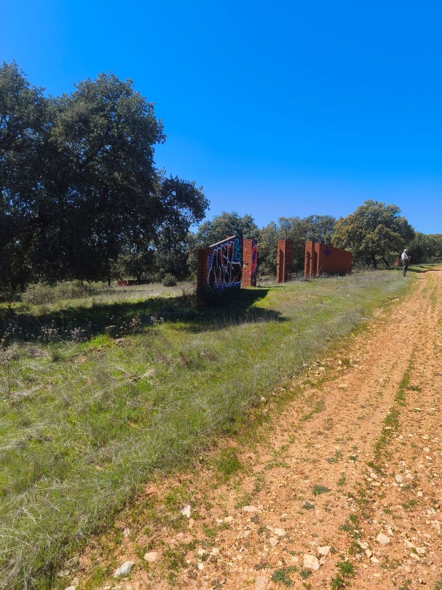 Fincas y solares-Venta-Villa del Prado-2412521-Foto-8