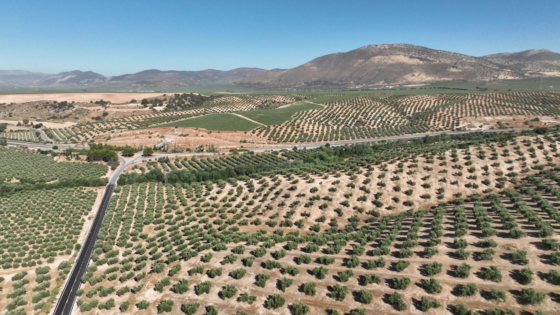 Suelo en venta, Parque del Cubillas, Granada
