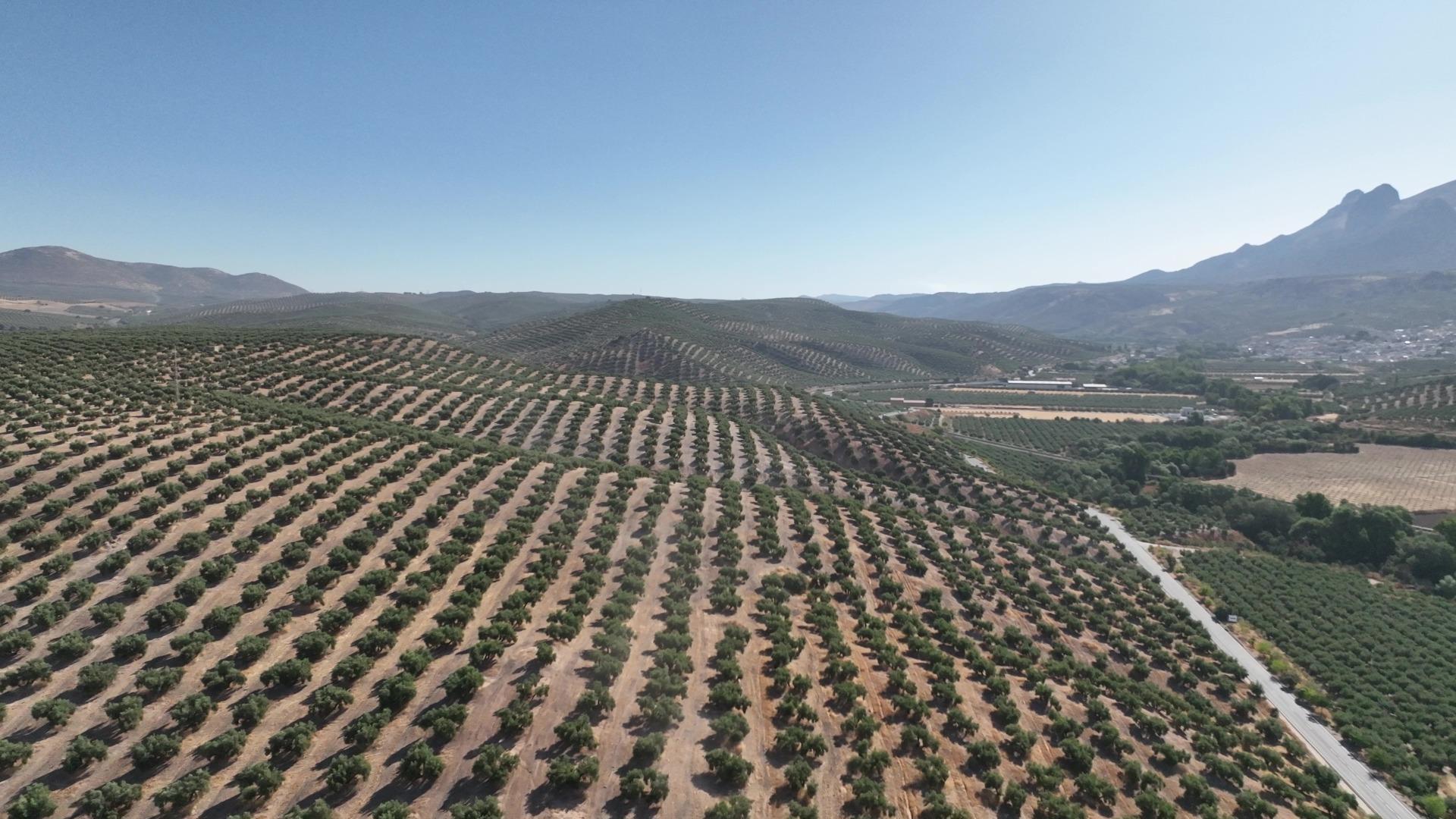 Suelo en venta, Parque del Cubillas, Granada